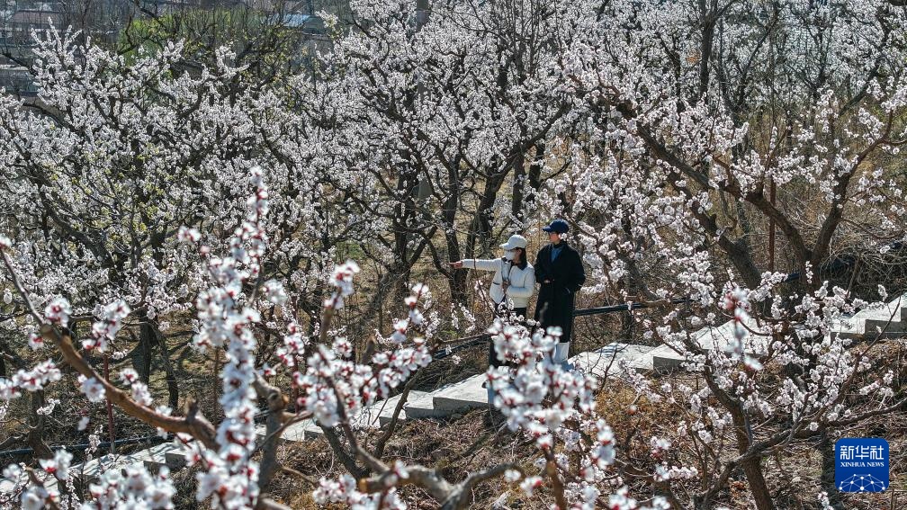 共赴人间好时节 共赴人间好时节