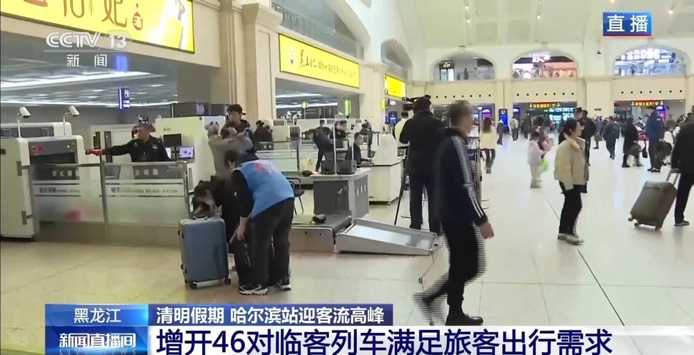 增开临客列车 安排夜间高铁！“尔滨”清明假期继续宠客