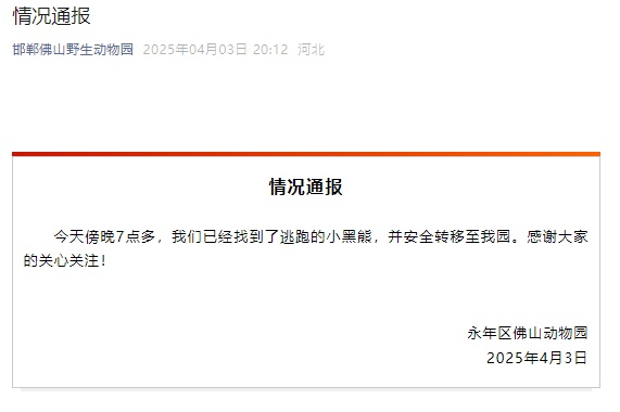 全网通缉的“在逃熊”找到了！