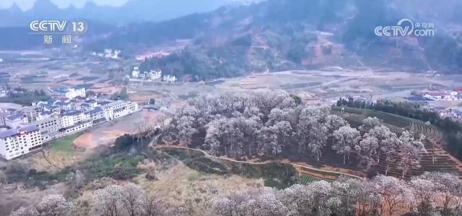 清明假日消费旺活力足 短途游、赏花+、国风潮成为热门关键词