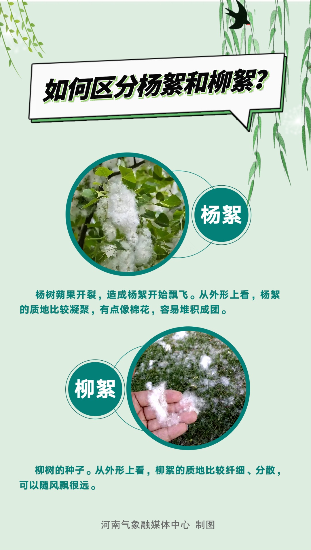 河南又要“下雪”了！