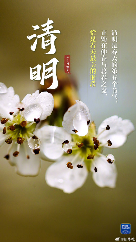 人间四月春 风起正清明