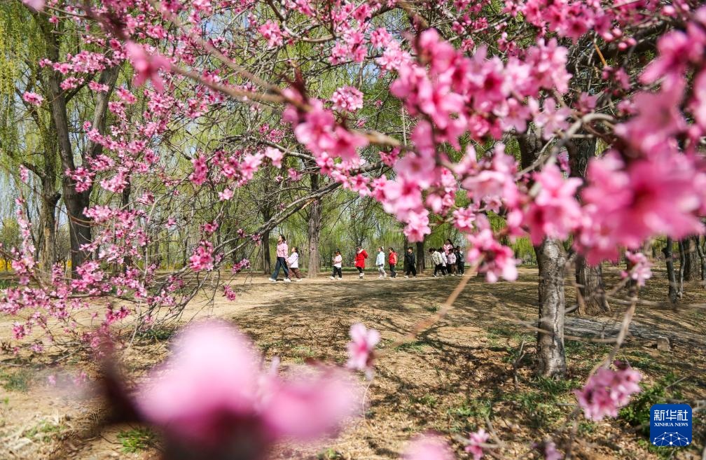 共赴人间好时节 共赴人间好时节