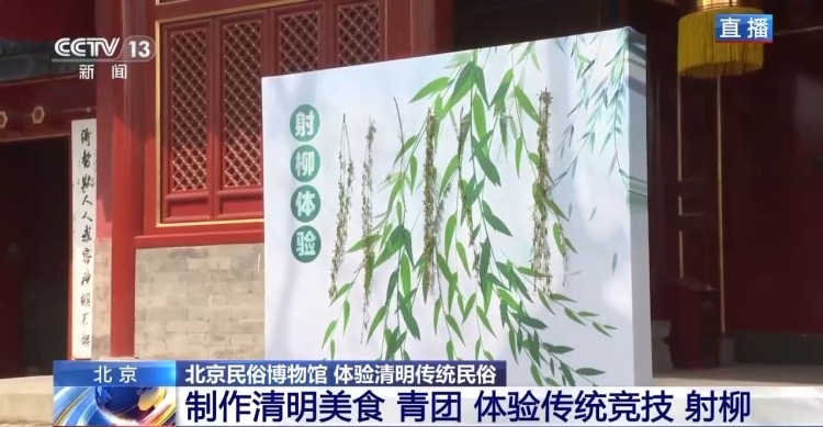 包青团、放风筝……清明民俗活动你体验了吗？