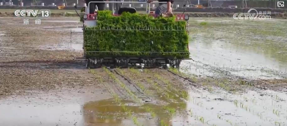 清明节气里的春耕气象密码:农事“前后”大不同 “早晚”冷暖差异大 清明节气里的春耕气象密码:农事“前后”大不同 “早晚”冷暖差异大