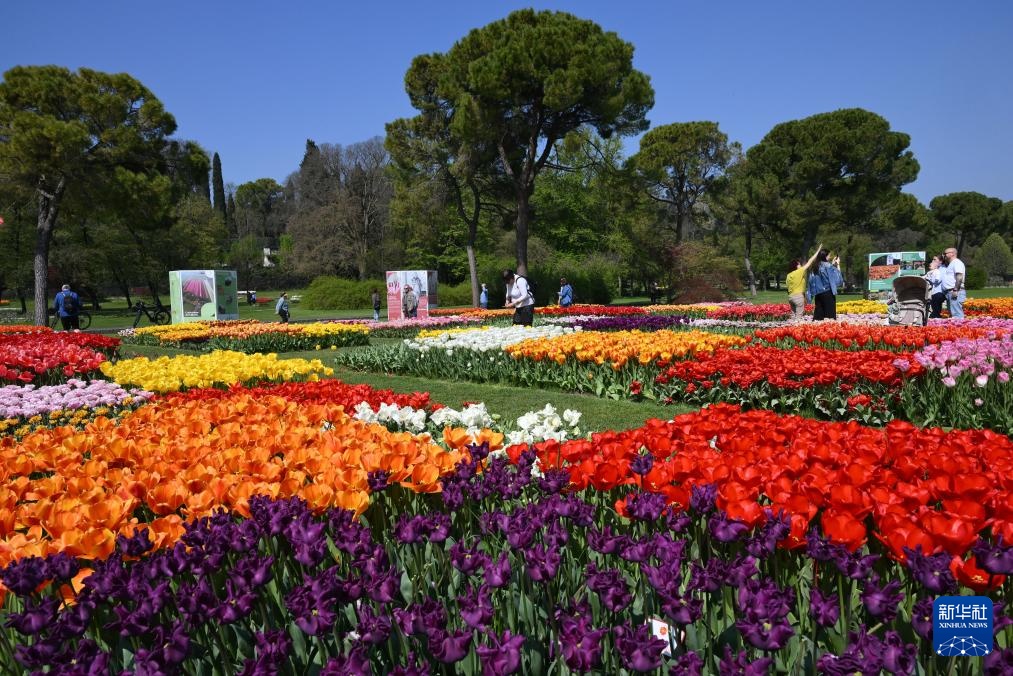 意大利：春天的花海
