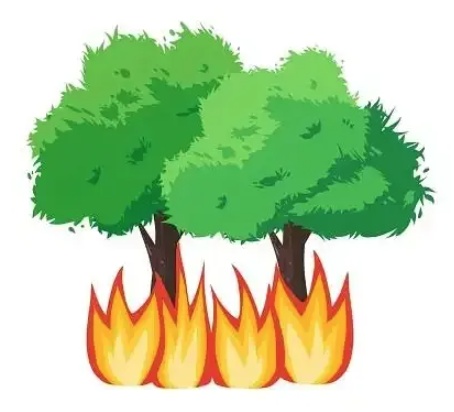 踏青出游安全指南 | 遭遇山火,这些避险技巧早掌握 踏青出游安全指南 | 遭遇山火,这些避险技巧早掌握