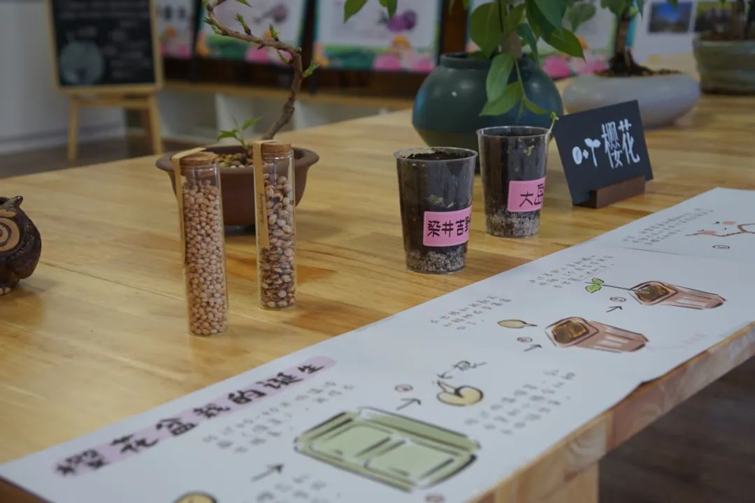 春花“顶流”限时开启夜间梦幻模式！玉渊潭公园，亮了！速来！