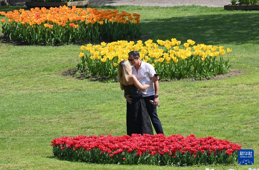 意大利：春天的花海