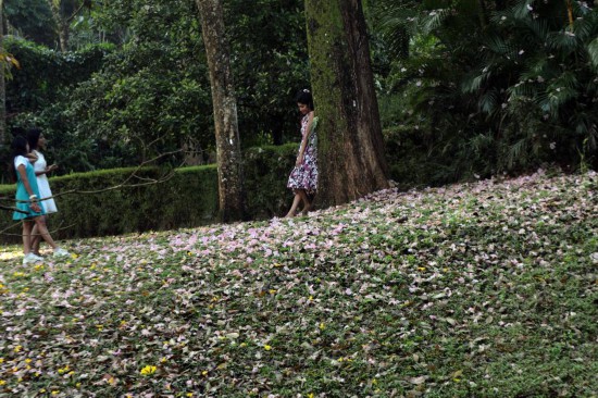 “看世界”步履不停:中国游客为国际旅游市场增添活力 “看世界”步履不停:中国游客为国际旅游市场增添活力