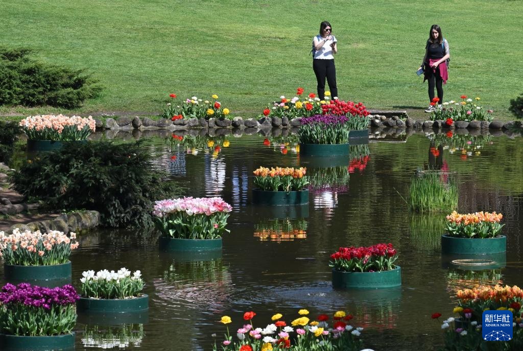 意大利：春天的花海