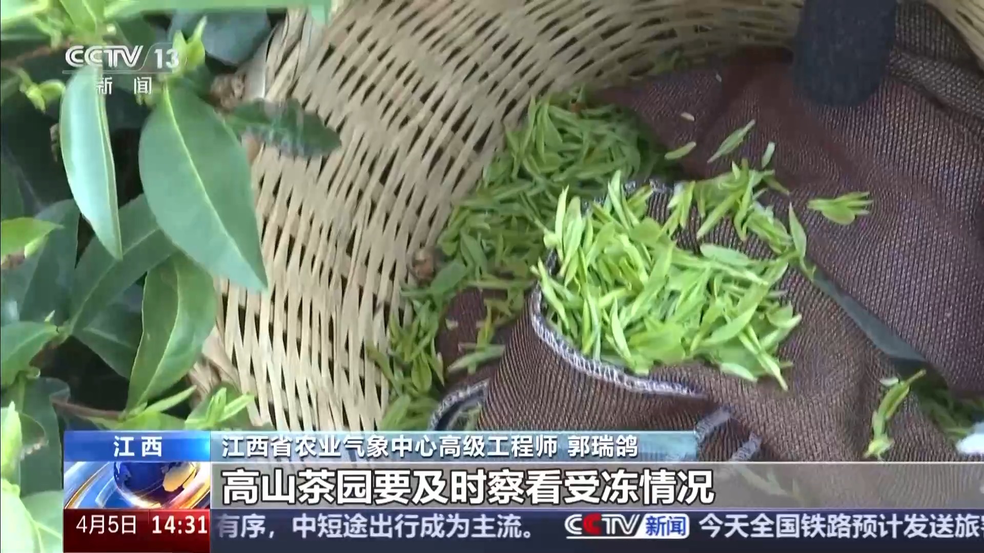 揭秘清明里的气象密码:既是踏青好时节,也是春播“关键局” 揭秘清明里的气象密码:既是踏青好时节,也是春播“关键局”