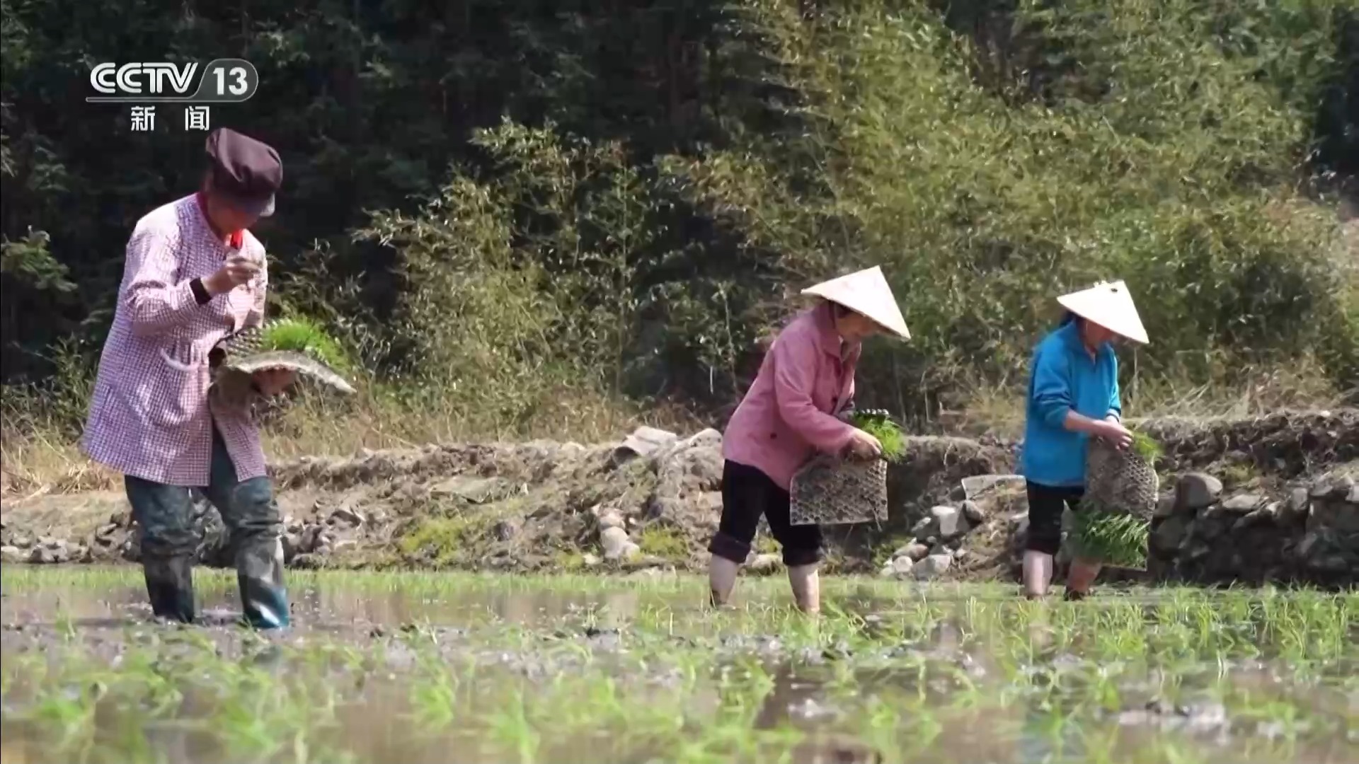 揭秘清明里的气象密码:既是踏青好时节,也是春播“关键局” 揭秘清明里的气象密码:既是踏青好时节,也是春播“关键局”