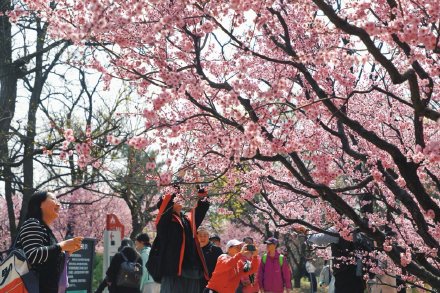 清明假期第二天  北京市属公园迎客超90万人次