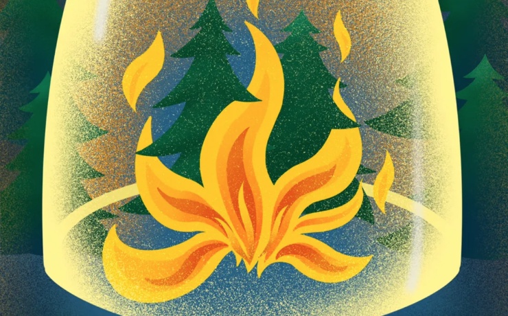 踏青出游安全指南 | 遭遇山火,这些避险技巧早掌握 踏青出游安全指南 | 遭遇山火,这些避险技巧早掌握