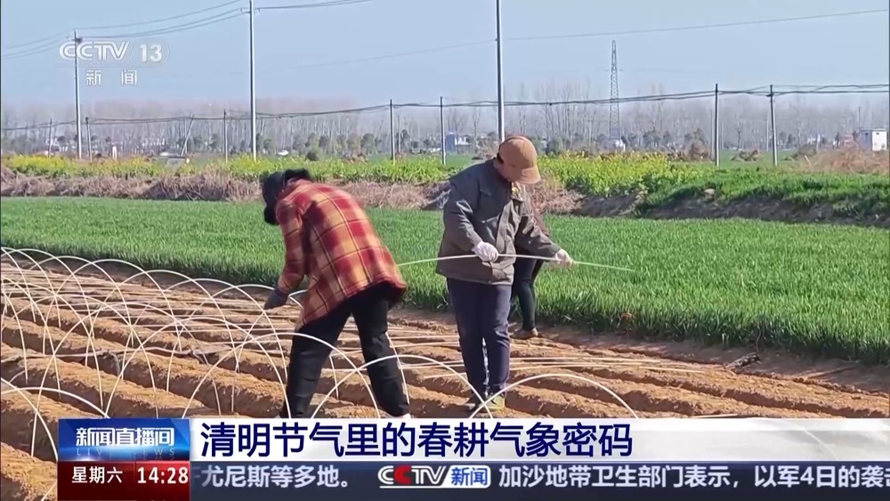 清明：既是踏青好时节  也是春播“关键局”