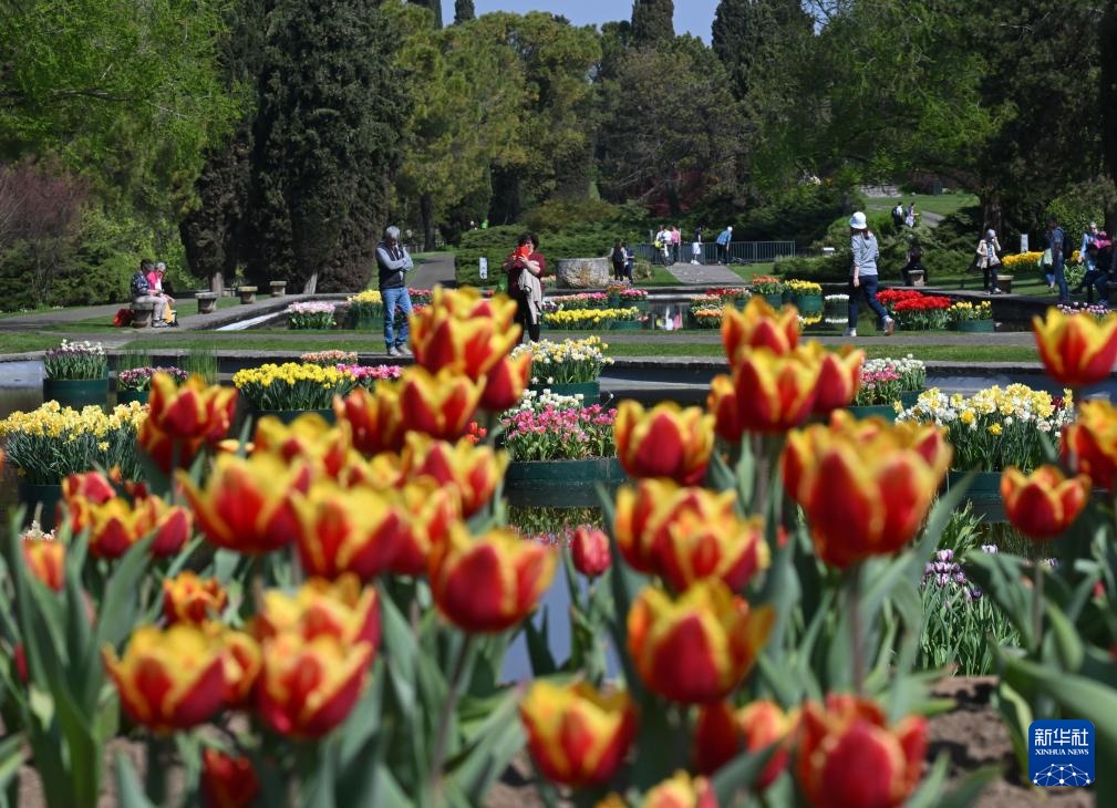 意大利：春天的花海