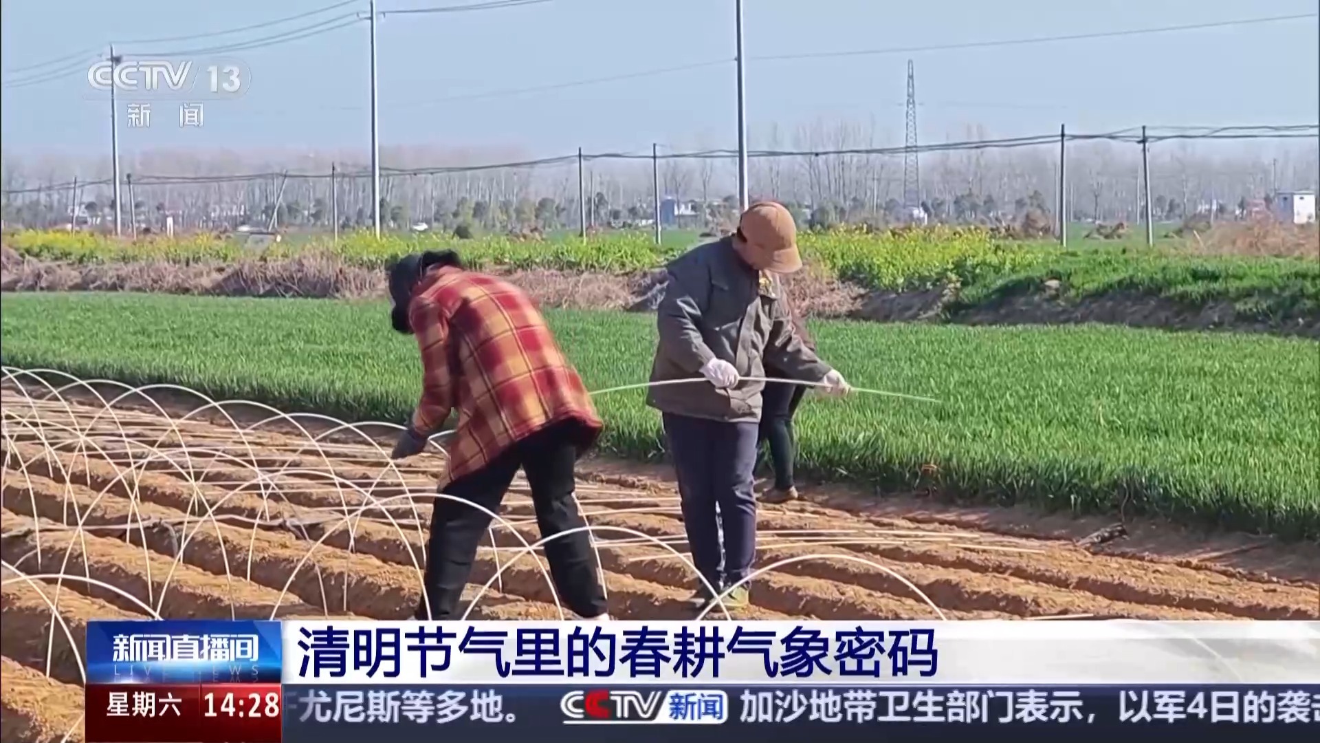 揭秘清明里的气象密码:既是踏青好时节,也是春播“关键局” 揭秘清明里的气象密码:既是踏青好时节,也是春播“关键局”