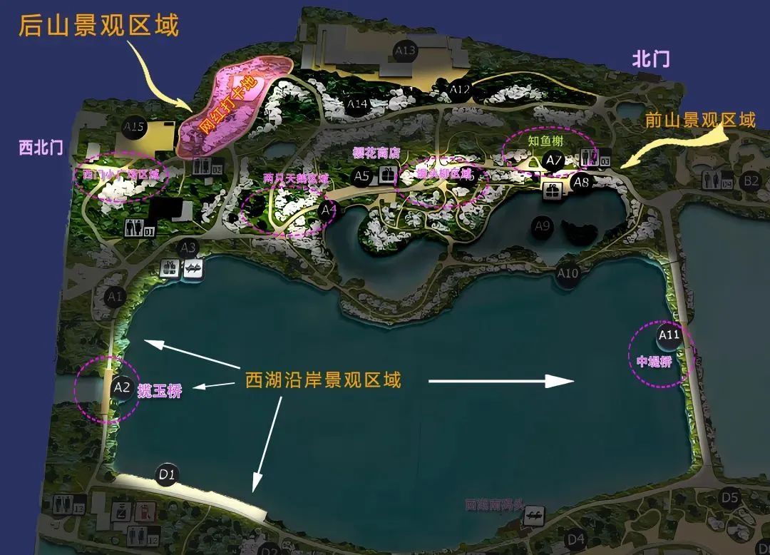 春花“顶流”限时开启夜间梦幻模式！玉渊潭公园，亮了！速来！