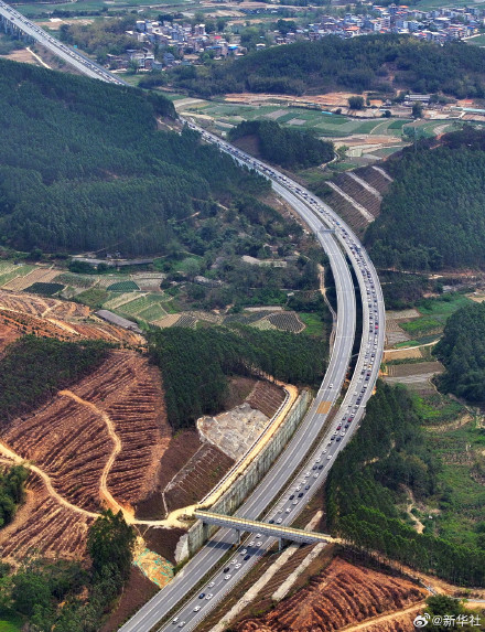 清明假期首日全国交通出行人数近2.9亿人次