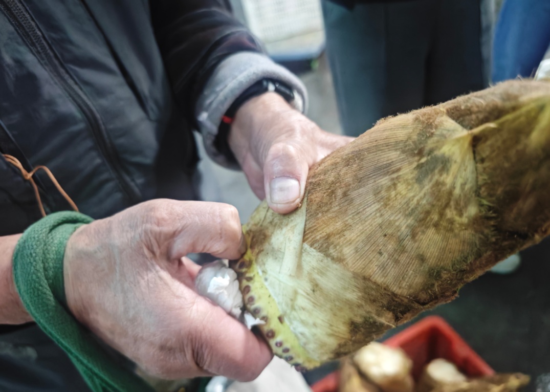 一天狂卖1000斤！杭州人爱的这口“鲜”上市！再等等更便宜……