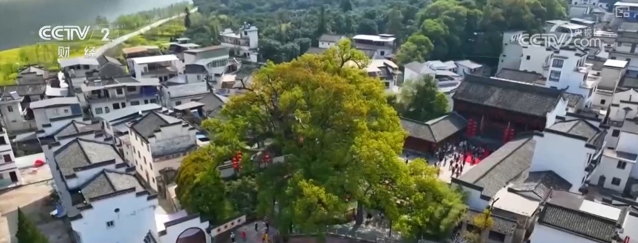 “非遗+”“AI+”点亮清明假日文旅 新玩法激活消费“新”热潮