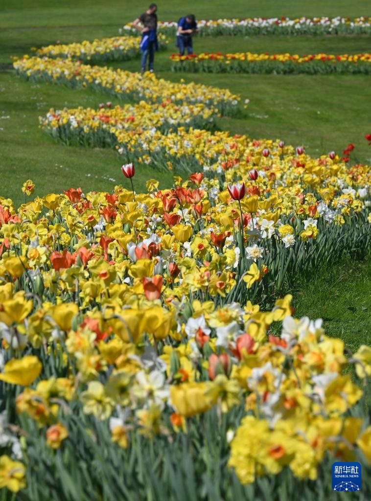 意大利：春天的花海