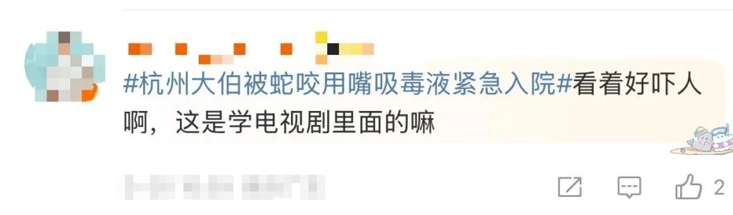 被咬一口肿到发黑!假期出游请注意,严重可致命 被咬一口肿到发黑!假期出游请注意,严重可致命