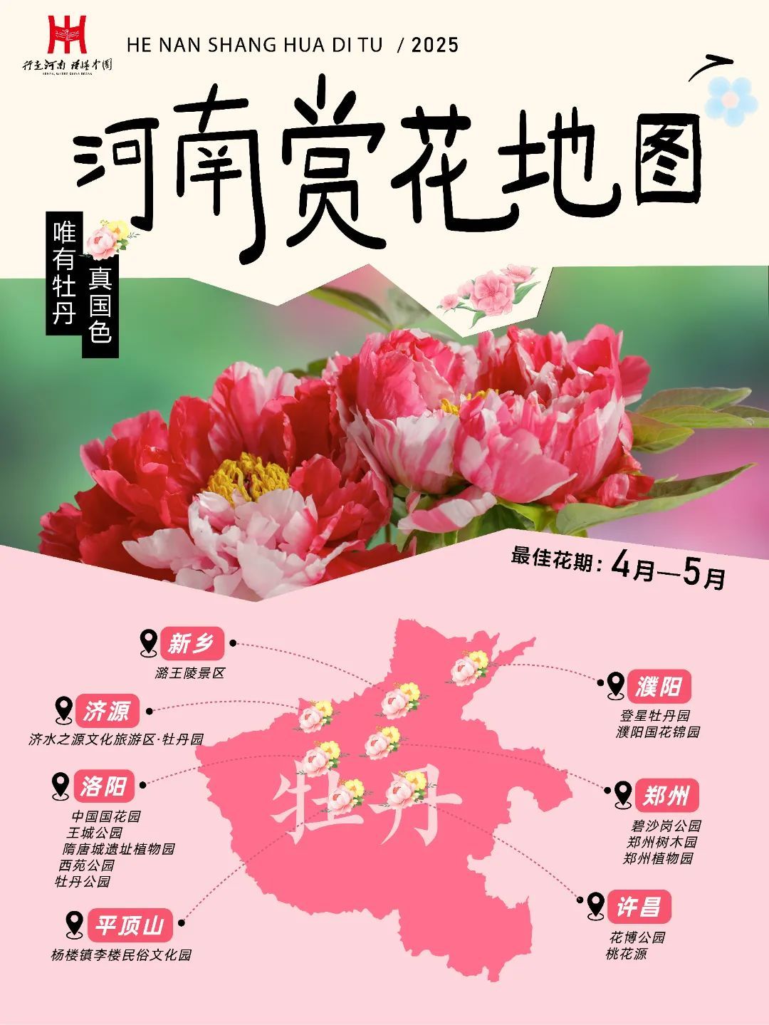 河南牡丹赏花地图来了