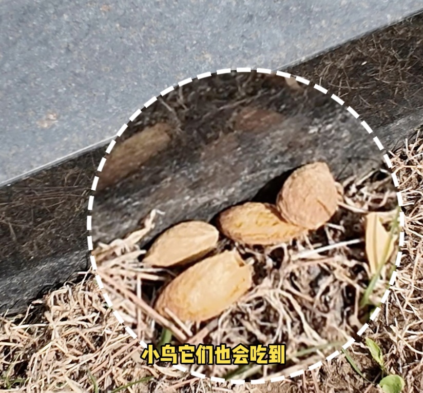 “妈妈,为什么给烈士爷爷送坚果?”母亲的答案令人泪目…… “妈妈,为什么给烈士爷爷送坚果?”母亲的答案令人泪目……