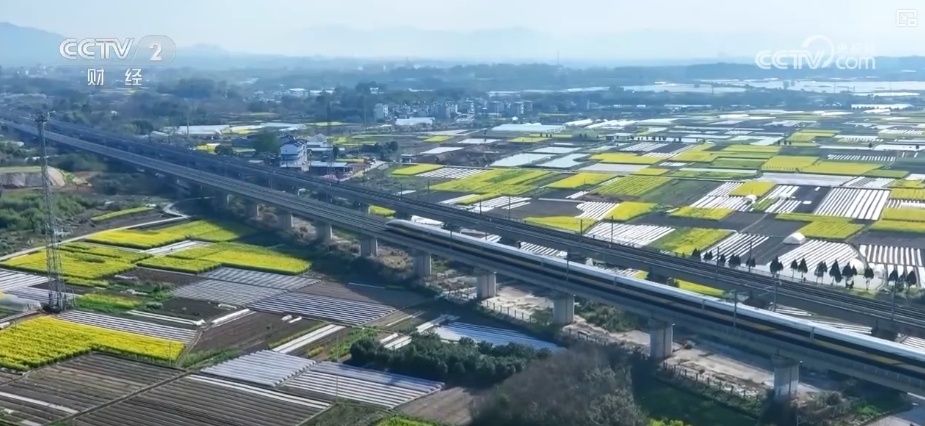 “非遗+”“AI+”点亮清明假日文旅 新玩法激活消费“新”热潮