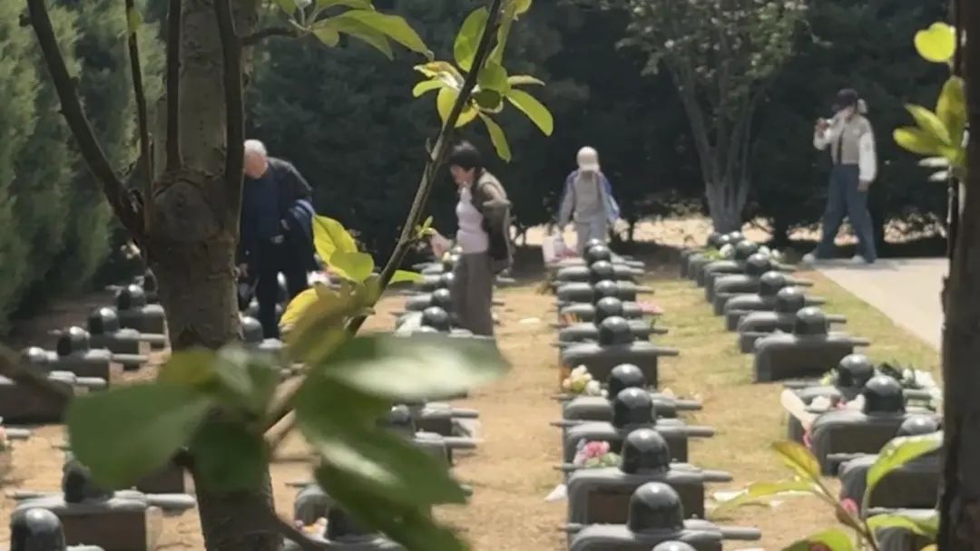 “妈妈,为什么给烈士爷爷送坚果?”母亲的答案令人泪目…… “妈妈,为什么给烈士爷爷送坚果?”母亲的答案令人泪目……