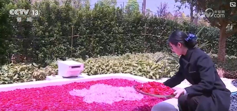 “鲜花经济”规模达千亿级 文旅融合助力乡村振兴与消费升级