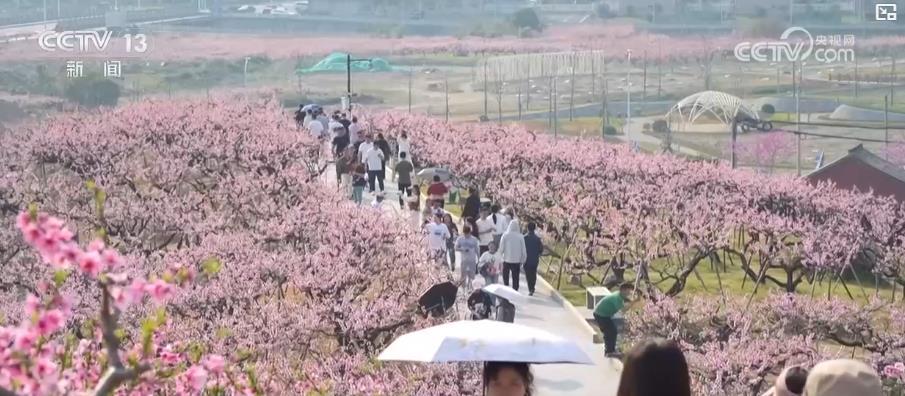 清明节气里的春耕气象密码:农事“前后”大不同 “早晚”冷暖差异大 清明节气里的春耕气象密码:农事“前后”大不同 “早晚”冷暖差异大