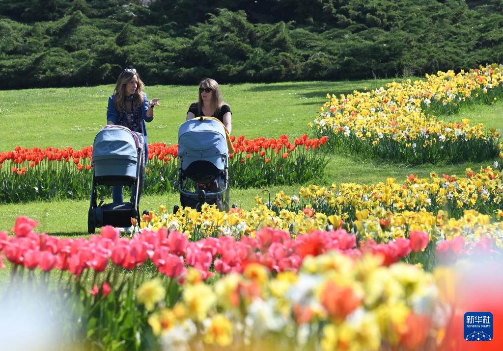 意大利：春天的花海