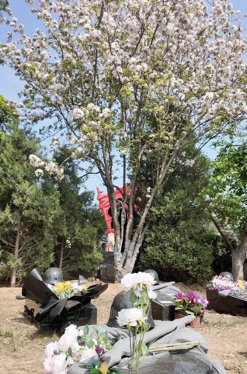 “妈妈,为什么给烈士爷爷送坚果?”母亲的答案令人泪目…… “妈妈,为什么给烈士爷爷送坚果?”母亲的答案令人泪目……