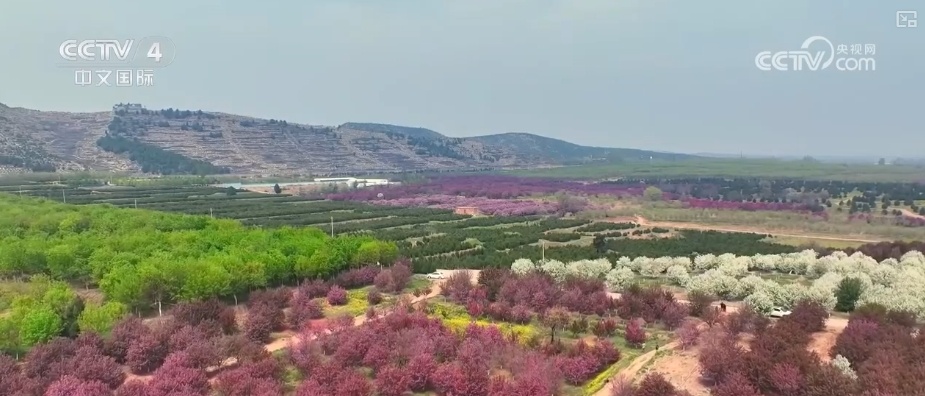 消费旺、出游火,新热点频出!清明假日春游经济有“颜值”有“产值” 消费旺、出游火,新热点频出!清明假日春游经济有“颜值”有“产值”