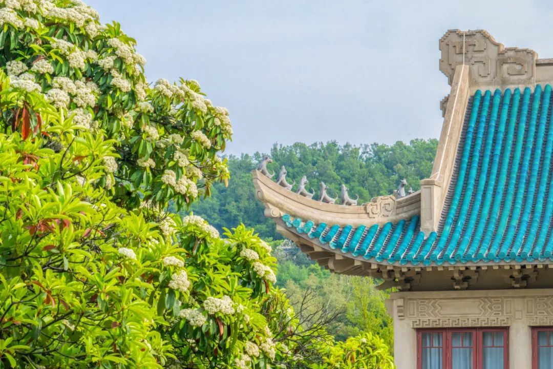 异味太大？武大华科大火速出手