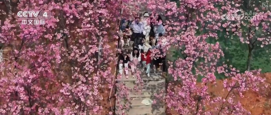 14.2%、16.3%、67.6%……“数”读消费市场持续升温 潜力加速释放