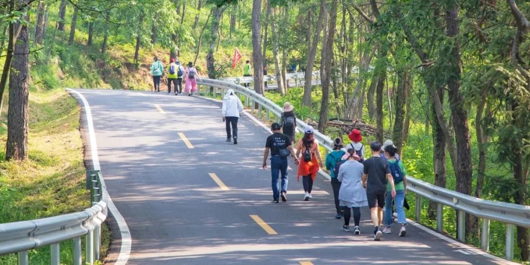 走路有这个特点的人，不仅看起来年轻，还会更长寿！