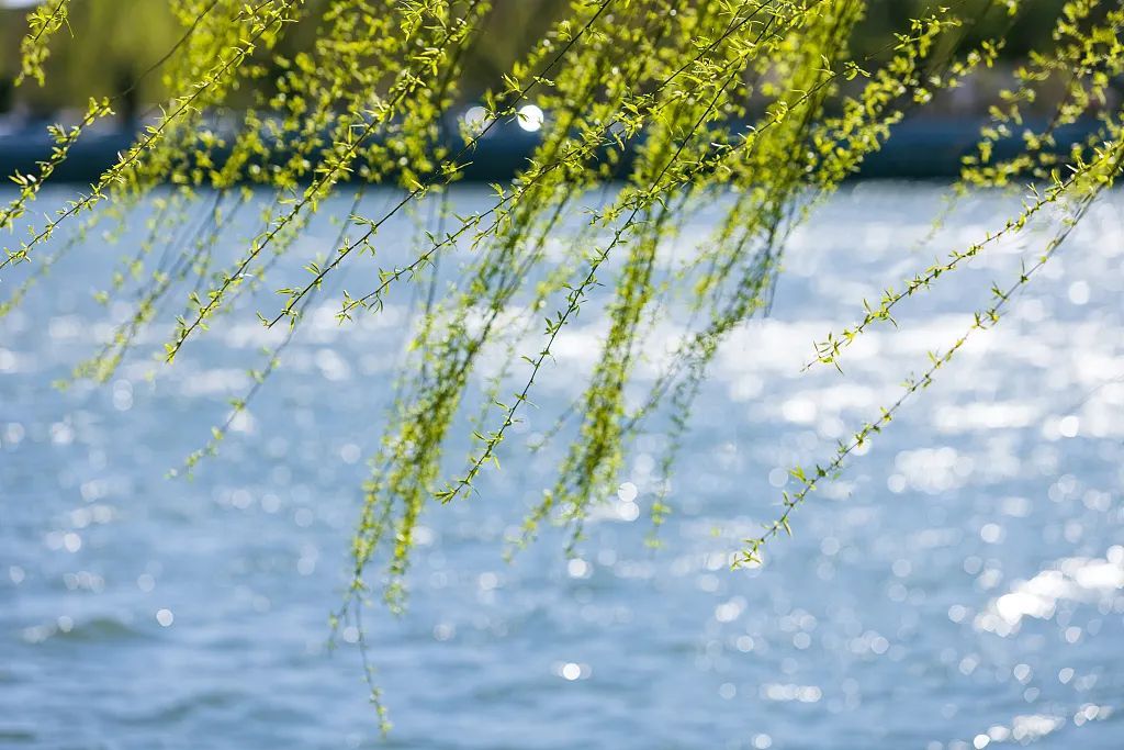 多地气温冲上30℃!这些地方开启“火箭式升温”→ 多地气温冲上30℃!这些地方开启“火箭式升温”→