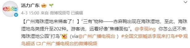 演员“打鸟”获官方认可 多地文旅喊话“‘打鸟’来我家!” 演员“打鸟”获官方认可 多地文旅喊话“‘打鸟’来我家!”