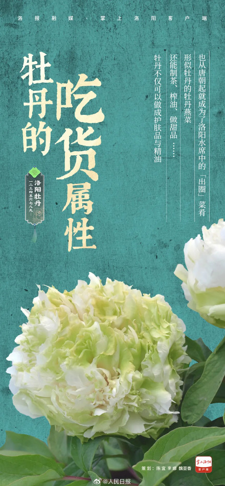 愿刷到的你吉祥如意!被洛阳牡丹9张色卡硬控了 愿刷到的你吉祥如意!被洛阳牡丹9张色卡硬控了