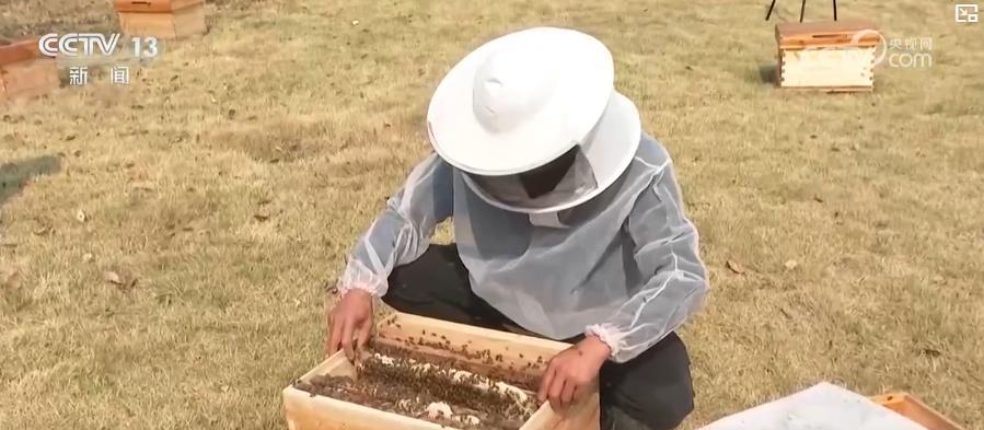 春季农田新景象:“一分田”开出多种“花” 特色农业“种”出新希望 春季农田新景象:“一分田”开出多种“花” 特色农业“种”出新希望