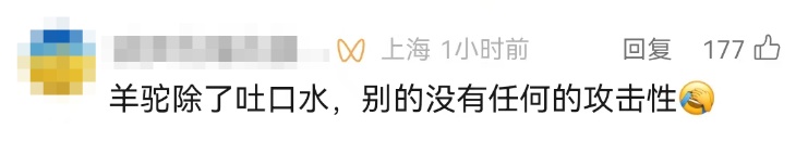 事发上海市中心！30多人联合追捕……