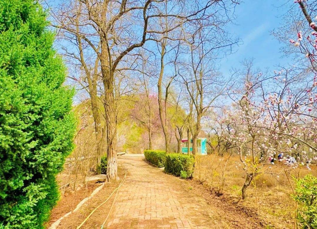 赏花 逛展 遛娃……多元体验带动消费热潮！兰州市民踏青悠游乐享假期