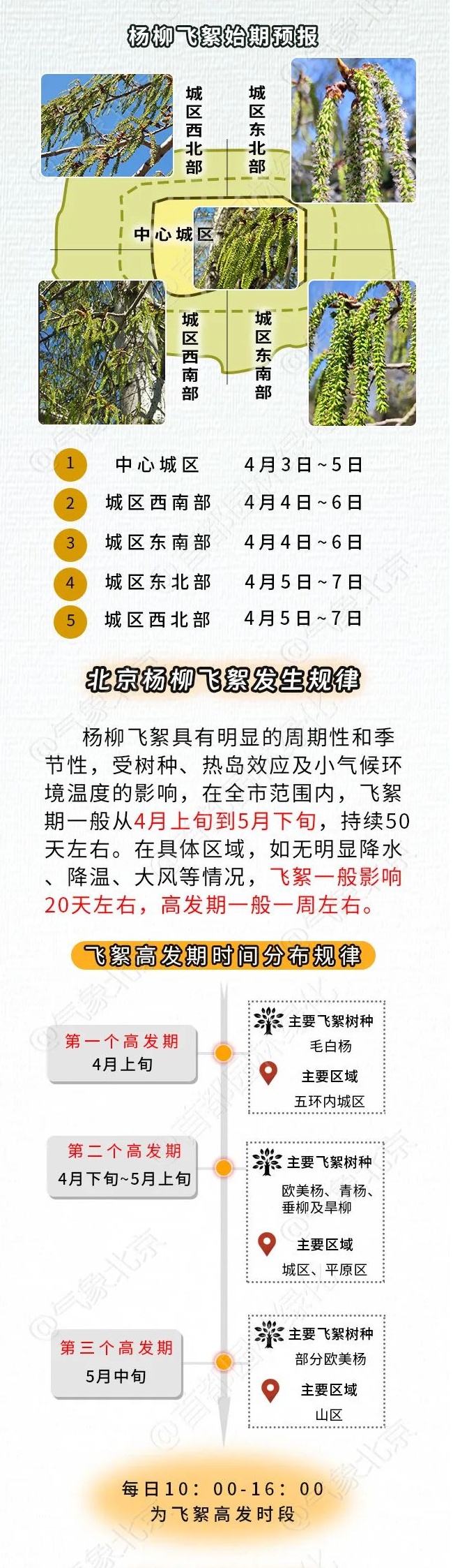 飞絮又来了 !北京发布首个杨柳飞絮预报 如何预防一文读懂 飞絮又来了 !北京发布首个杨柳飞絮预报 如何预防一文读懂