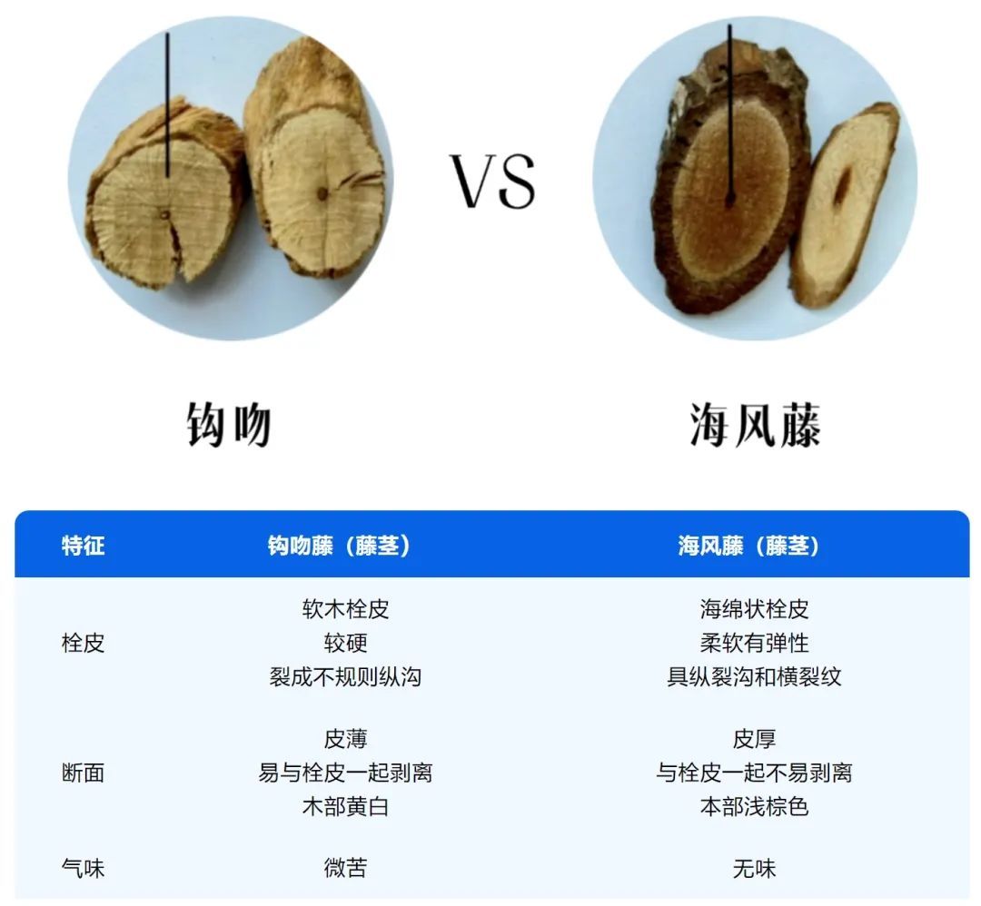 广东山上常有，千万别吃！