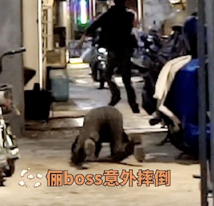43岁女演员孙俪新片拍摄突发意外被绊倒，四肢跪地