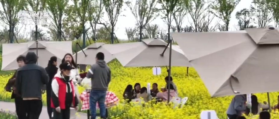 14.2%、16.3%、67.6%……“数”读消费市场持续升温 潜力加速释放